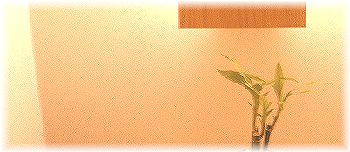 �a���G�݁E�A�W�A���G��